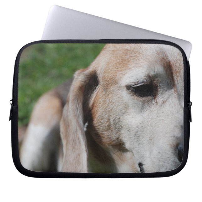 beagle porträtt laptop fodral (Framsidan)