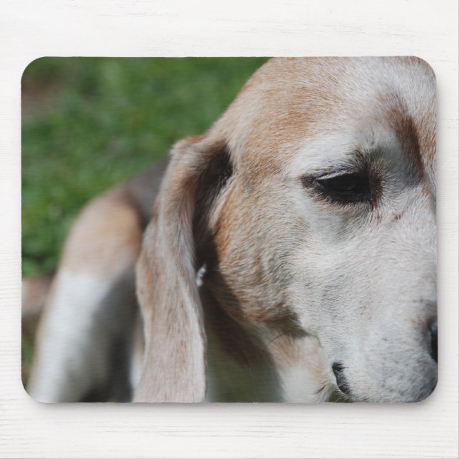 beagle porträtt musmatta (Framsidan)