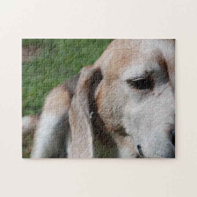 beagle porträtt pussel (Horisontell)