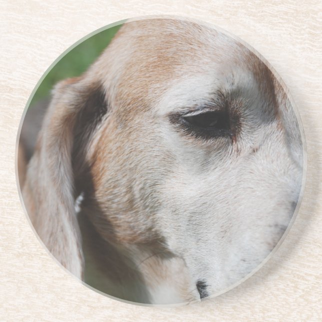 beagle porträtt underlägg (Framsidan)