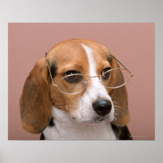 Beagle Poster