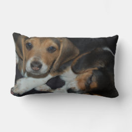 Beagle Puppies Pillow Lumbarkudde
