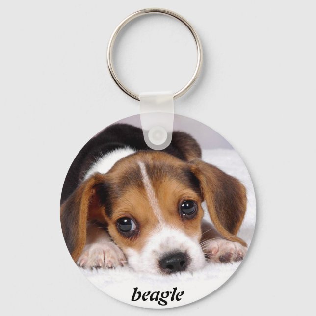 beagle-puppies-tapet-11.jpg, beagle nyckelring (Framsida)