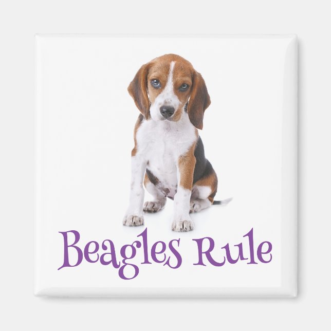 Beagle Puppy Hund Fridge Magnet (Framsidan)