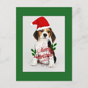 Beagle Puppy i Santa Hat - God jul Vykort