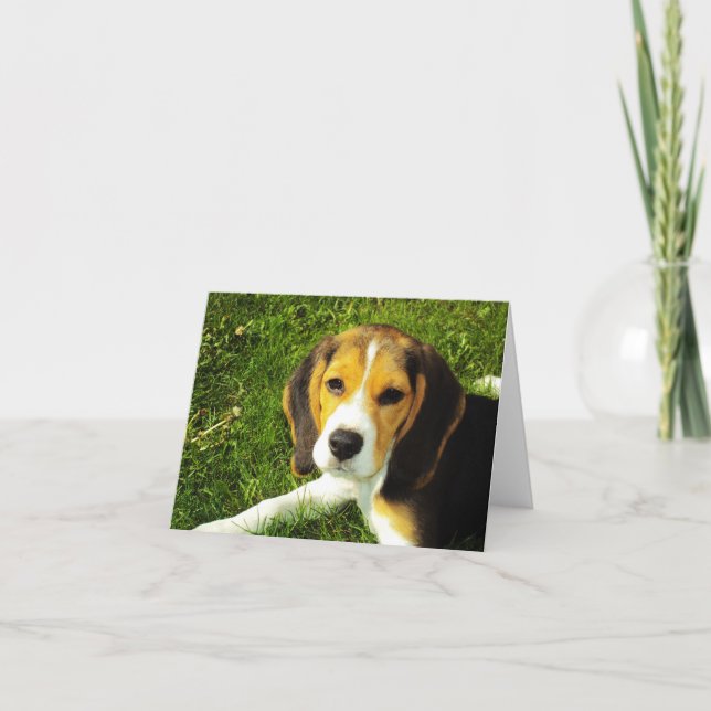 Beagle Puppy Note Card Kort (Framsida)
