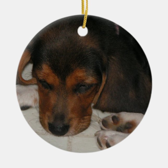 Beagle Puppy Ornament (Framsidan)