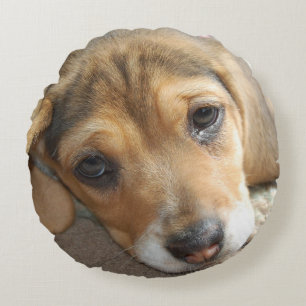 Beagle Puppy Pillow Rund Kudde