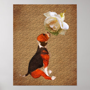 Beagle Puppy Ro Åldras Papper Art Poster