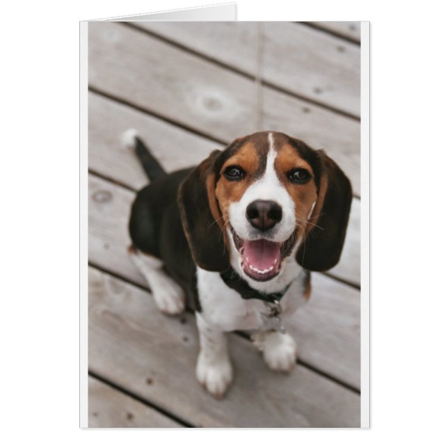 Beagle_puppy sitta.png hälsningskort (Framsidan)