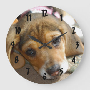 Beagle Puppy Wall Clock Stor Klocka