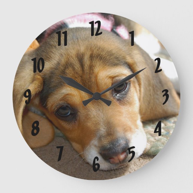 Beagle Puppy Wall Clock Stor Klocka (Framsida)
