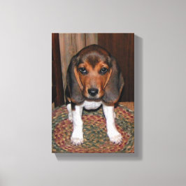 Beagle Puppy Wrapped Canvas