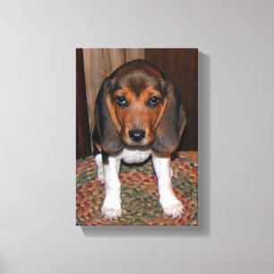 Beagle Puppy Wrapped Canvas