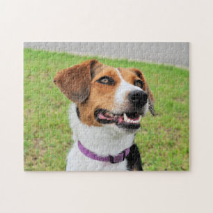 Beagle Pussel