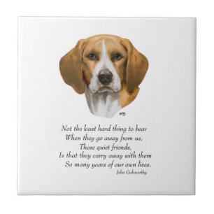 Beagle Rainbow Bridge Kakelplatta