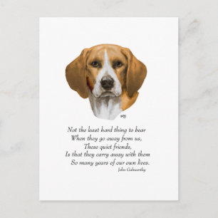 Beagle Rainbow Bridge Vykort