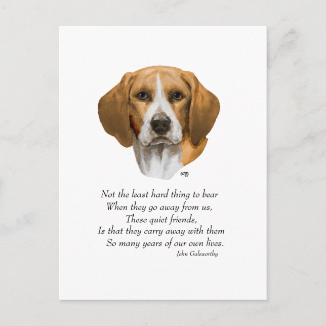 Beagle Rainbow Bridge Vykort (Framsida)