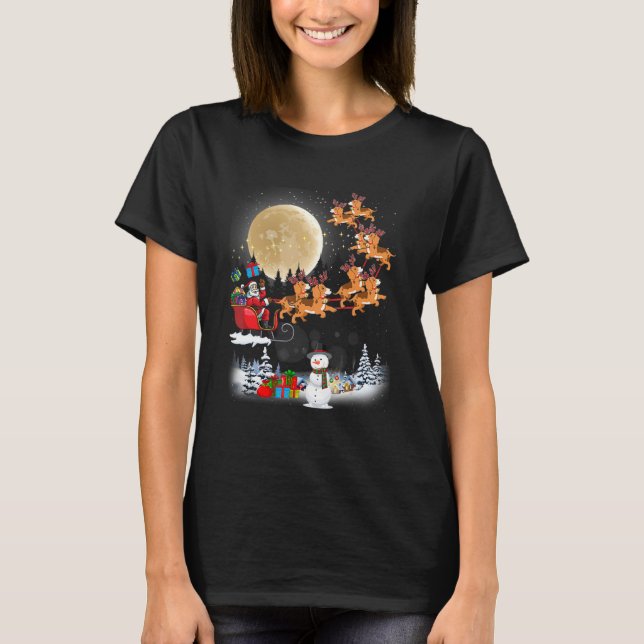 Beagle Reindeer Santa Sleigh Christmas Dog T Shirt (Framsida)