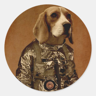Beagle Runt Klistermärke