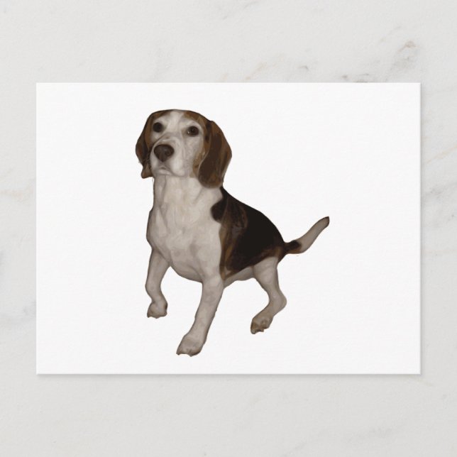 beagle sittande tredje vykort (Framsida)