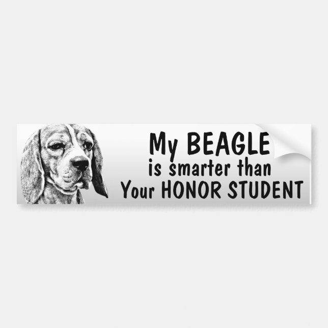 Beagle - som är mer smart än hederstudent - som är bildekal (Framsidan)