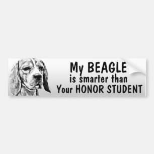 Beagle - som är mer smart än hederstudent - som bildekal