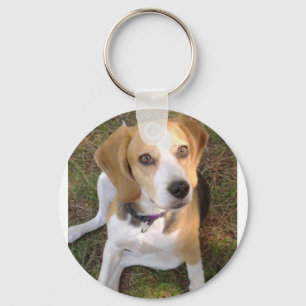 Beagle som sitter 2 nyckelring