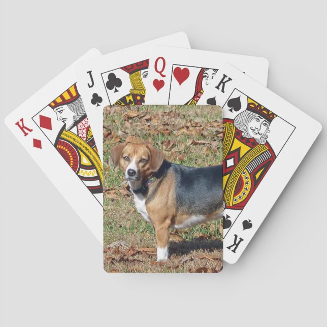 Beagle Spel Kort (Baksidan)