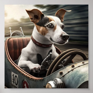 Beagle-Tävla-bil Poster