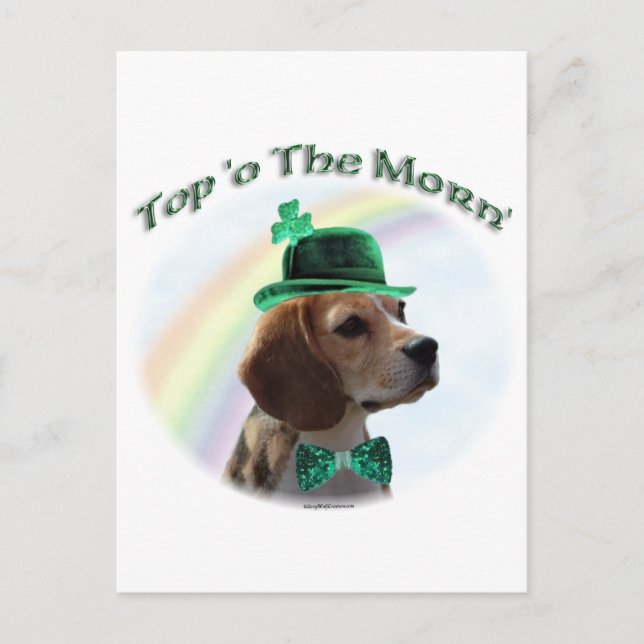 Beagle Top of the Morn'; Beagle St. Patrick's day Vykort (Framsida)