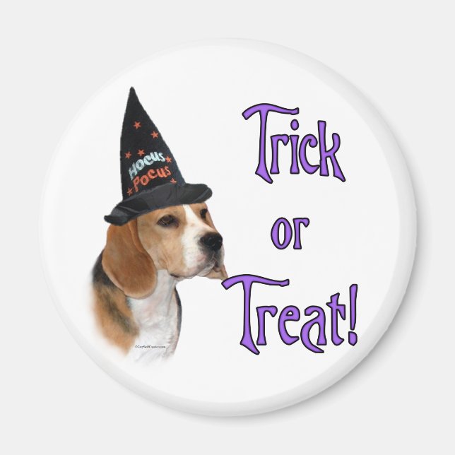 Beagle Trick Magnet (Framsidan)