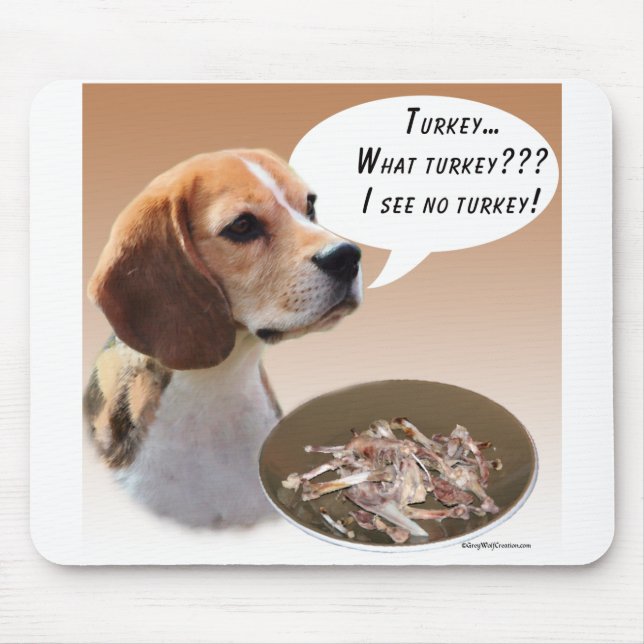 Beagle Turkey Musmatta (Framsidan)