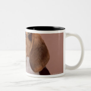 Beagle Två-Tonad Mugg