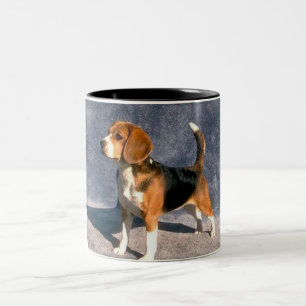 beagle Två-Tonad mugg