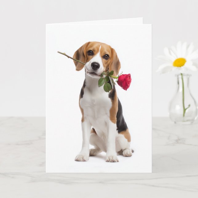 Beagle Valentine – Trogen kärlek med en ros Kort (Liten växt)