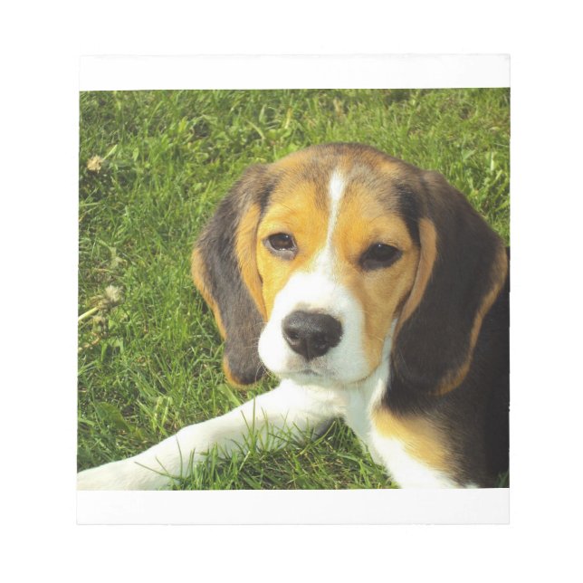 beagle-valp anteckningsblock (Framsida)