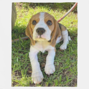 BEAGLE VALP FLEECEFILT