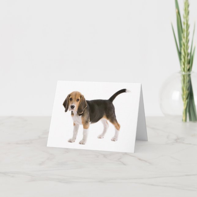Beagle Valp Hund Blank Notkort Kort (Framsida)