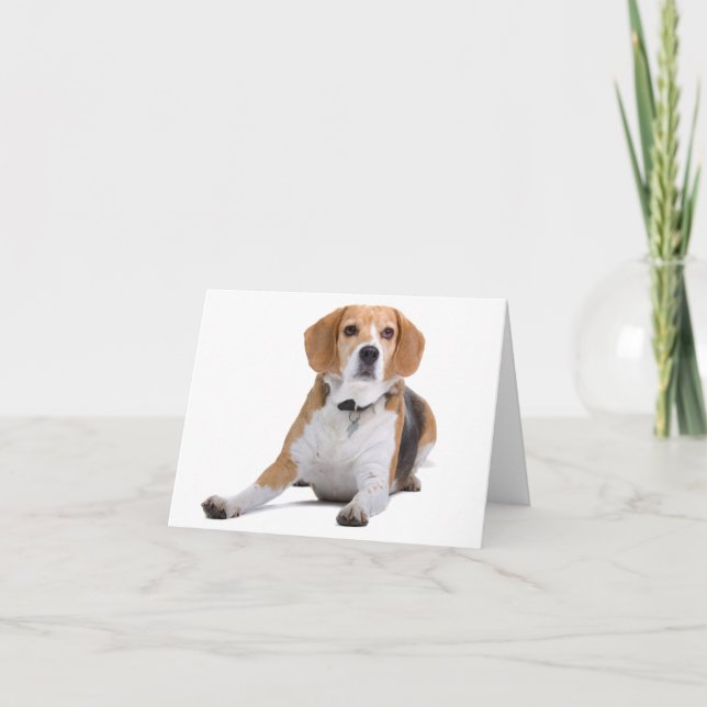 Beagle Valp Hund Blank Notkort Kort (Framsida)
