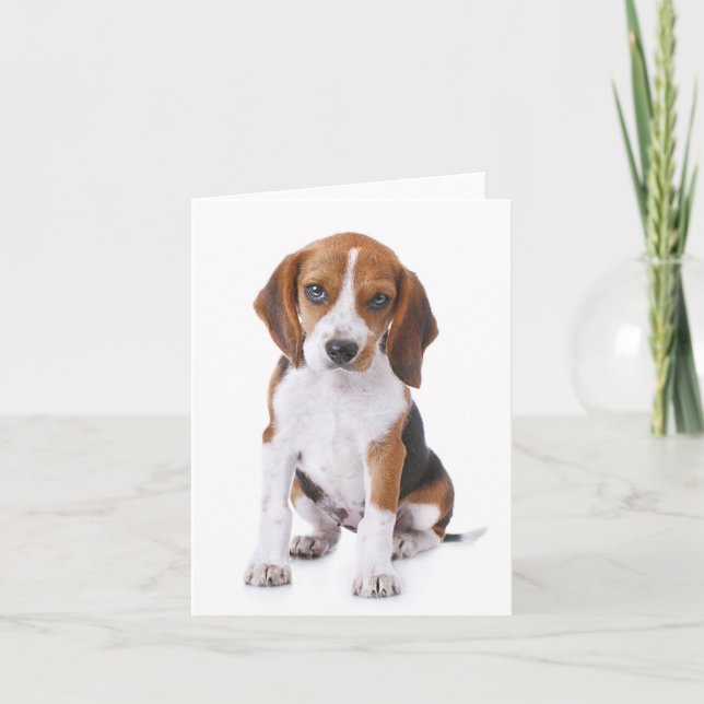 Beagle Valp Hund Röd Blank Notkort Kort (Framsida)