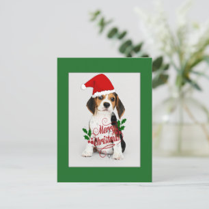Beagle-valp i tomtehatt - God jul Vykort