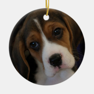 Beagle valp jul Ornament