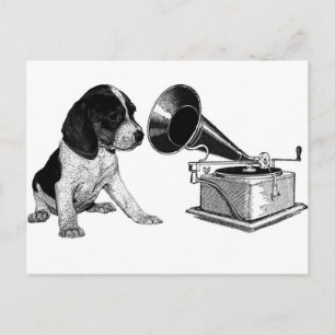 Beagle-valp med grammofon vykort