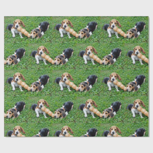 Beagle-valpar Tug av Krig Presentpapper (Platt)