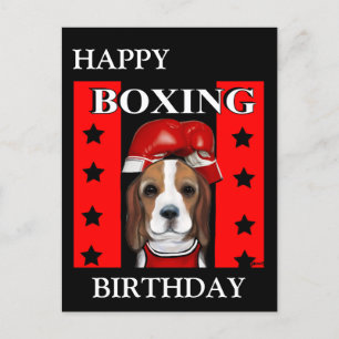 Beagle  vykort