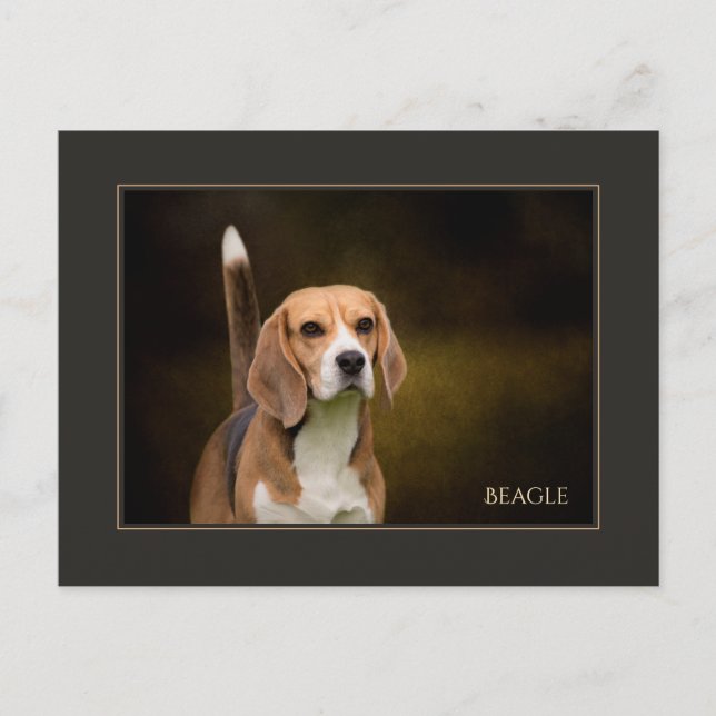 Beagle-vykort Vykort (Framsida)