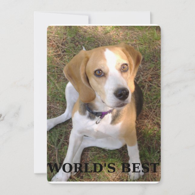 Beagle Worlds best (Framsida)