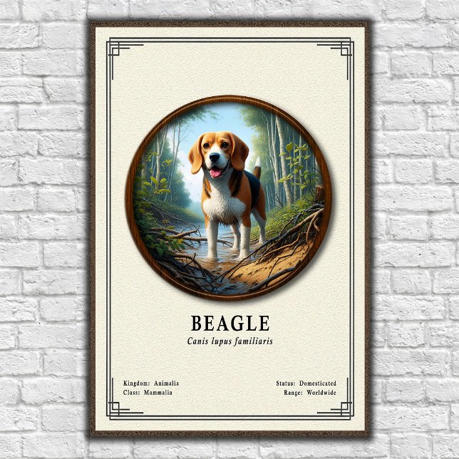 Beagle Zoologi Serie Poster (Skapare uppladdad)