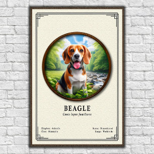 Beagle Zoologi Serie Poster